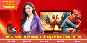Đá gà thomo - Tham gia đặt cược nhận thưởng khủng tại TT88
