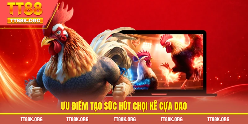 Ưu điểm tạo sức hút chọi kê cựa dao 